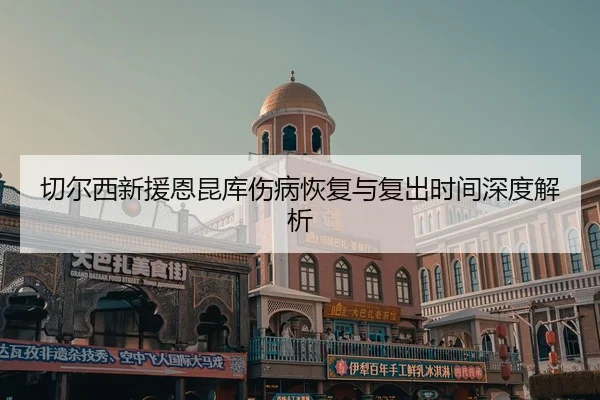 切尔西新援恩昆库伤病恢复与复出时间深度解析